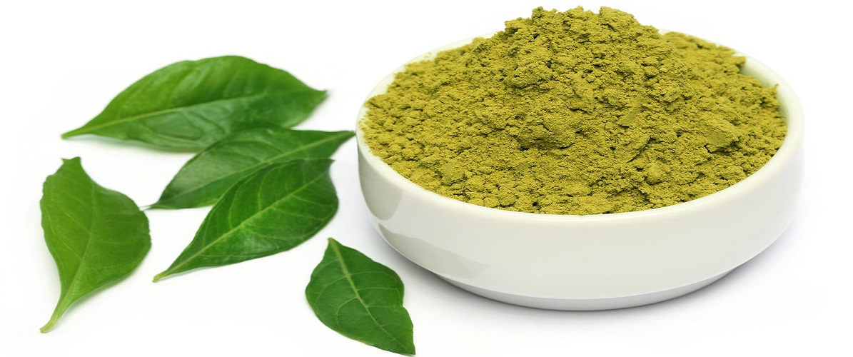 HENNA POWDER – DHAGRA INDUSTRIES PVT. LTD.